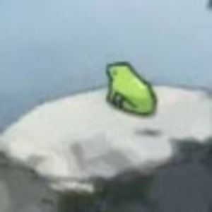 Meet your Posher, Paige